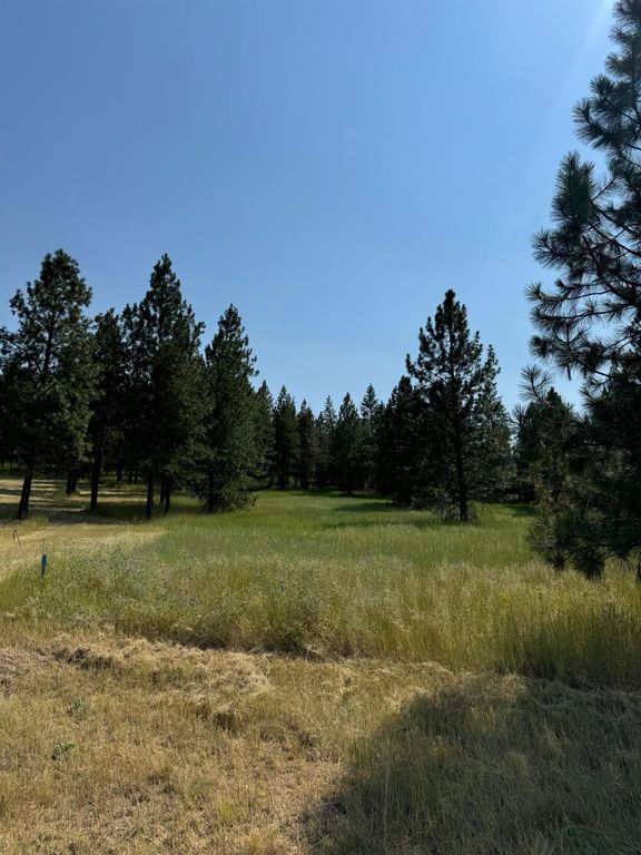 498XX E Forest Dr, Davenport, WA 99122