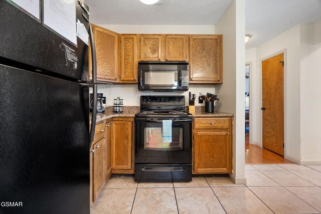 2119 N Tamins Drive, Gatlinburg, TN 37738