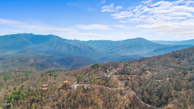 2119 N Tamins Drive, Gatlinburg, TN 37738