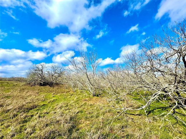 1118 County Road 447, Waelder, TX 78959