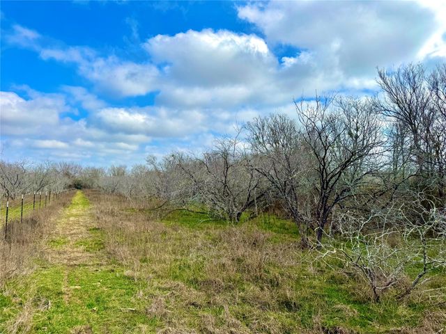 1118 County Road 447, Waelder, TX 78959