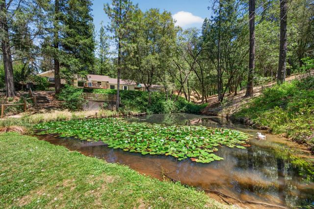 5131 Hackomiller Rd, Garden Valley, CA 95633