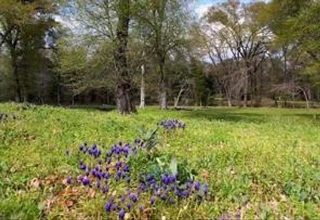 4683 E Fm Rd 1396, Telephone, TX 75488