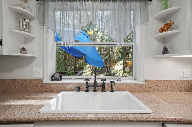 16460 Mckenzie Dr, Pioneer, CA 95666