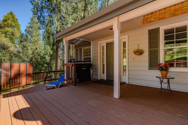 16460 Mckenzie Dr, Pioneer, CA 95666