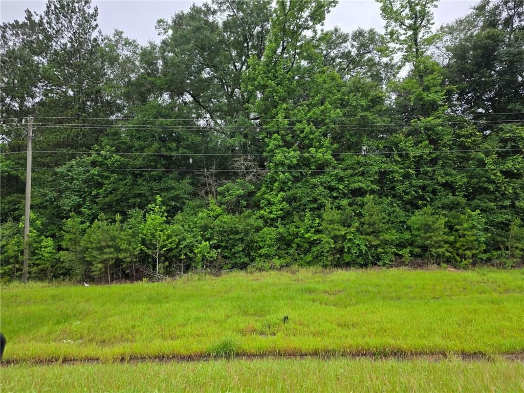 15101 Highway 43, Mount Vernon, AL 36560 — exterior