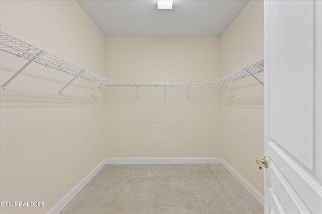 316 English Station Rd, Knoxville, TN 37934