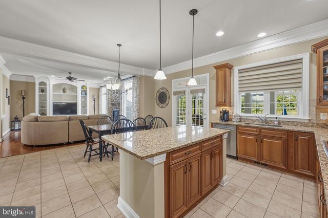 16553 LEVADE DR, Leesburg, VA 20176