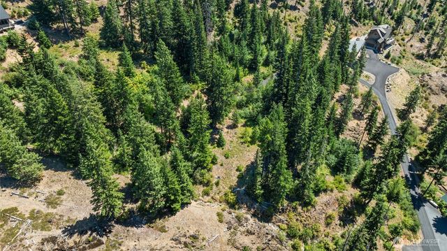 7 Lot Carillon Cove Drive, Ronald, WA 98940