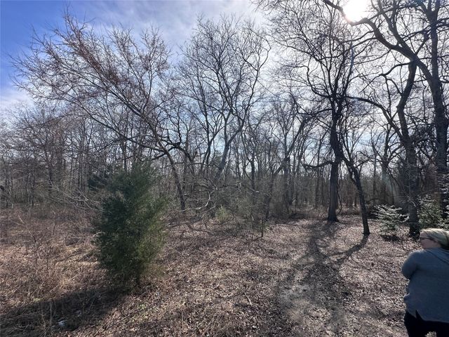 TBD Wooded Creek Drive, Athens, TX 75751