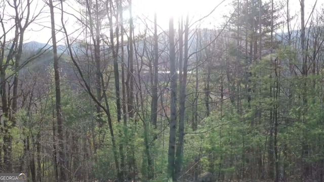 0 LOT 35 Winter Court 35, Rabun Gap, GA 30568