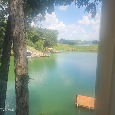 153 H R King Road, 1, Gray, TN 37615