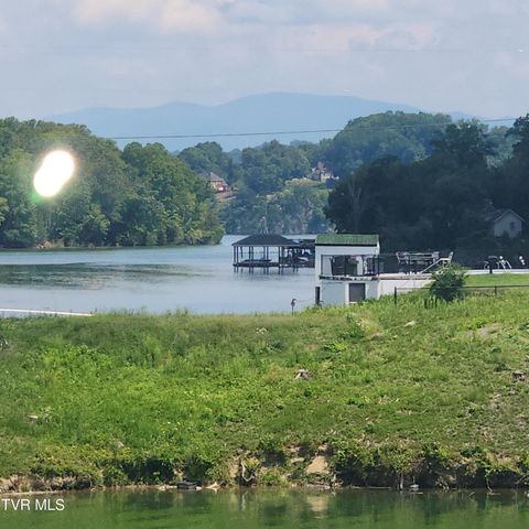 153 H R King Road, 1, Gray, TN 37615