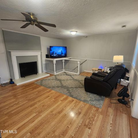 153 H R King Road, 1, Gray, TN 37615