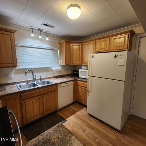 153 H R King Road, 1, Gray, TN 37615