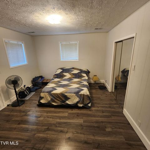 153 H R King Road, 1, Gray, TN 37615