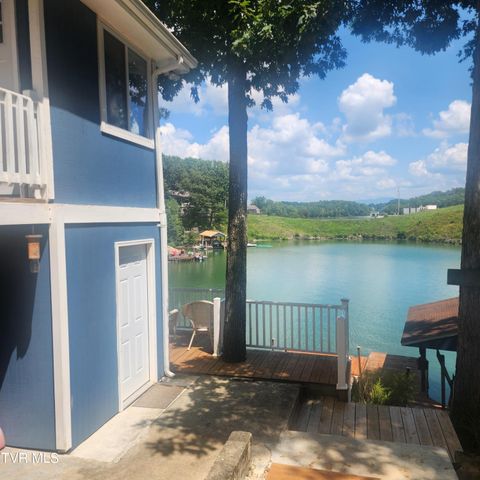 153 H R King Road, 1, Gray, TN 37615