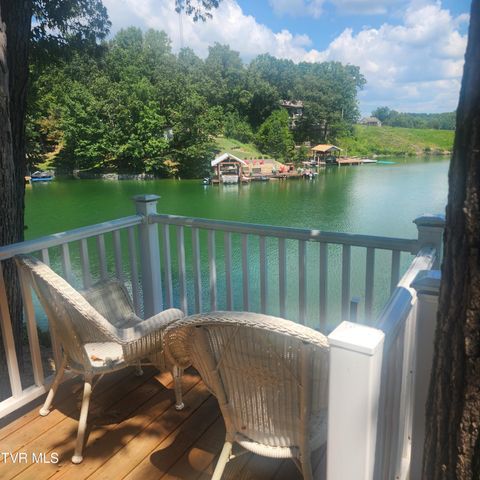 153 H R King Road, 1, Gray, TN 37615