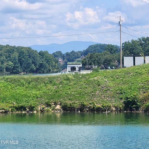 153 H R King Road, 1, Gray, TN 37615