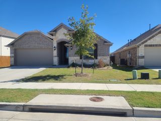 7204 Black Cherry Lane, Mckinney, TX 75071