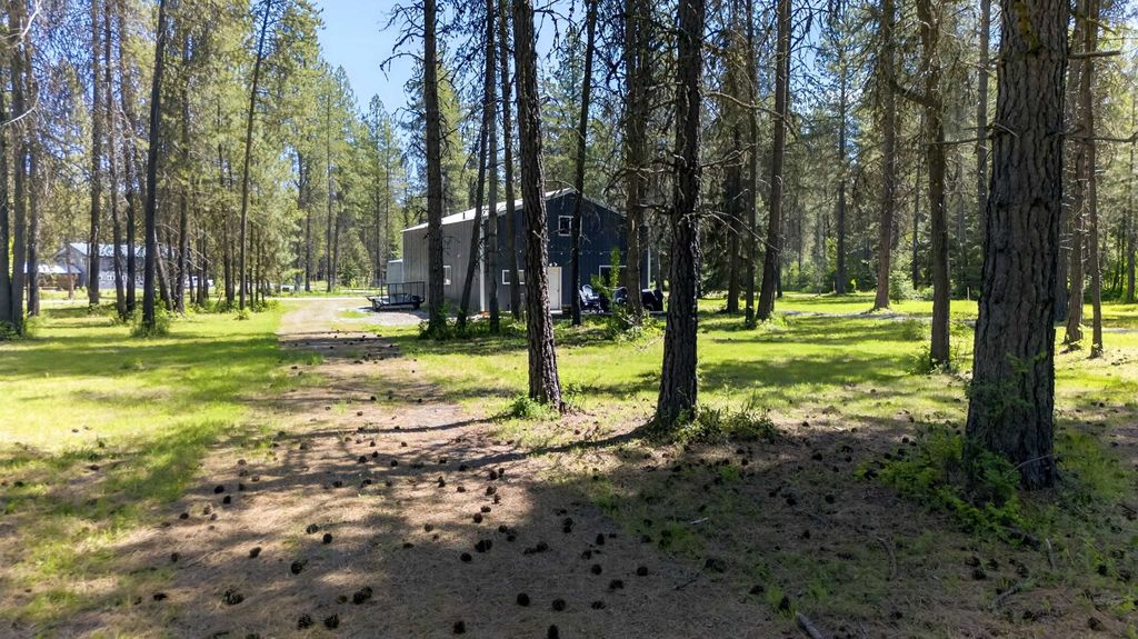272 Robin Rd, Usk, WA 99180 photo 36