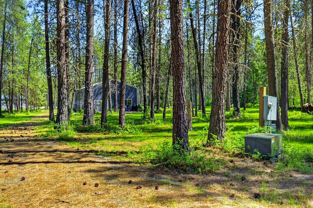 272 Robin Rd, Usk, WA 99180 photo 7