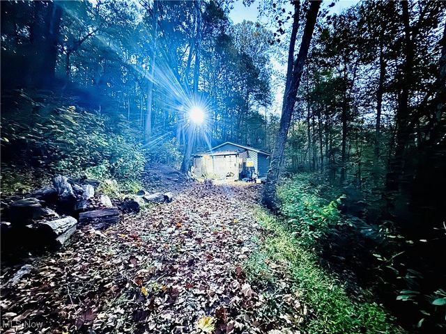 2033 & 2035 Cedar Run Road, Friendly, WV 26142