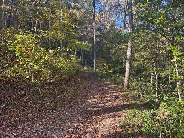 2033 & 2035 Cedar Run Road, Friendly, WV 26142