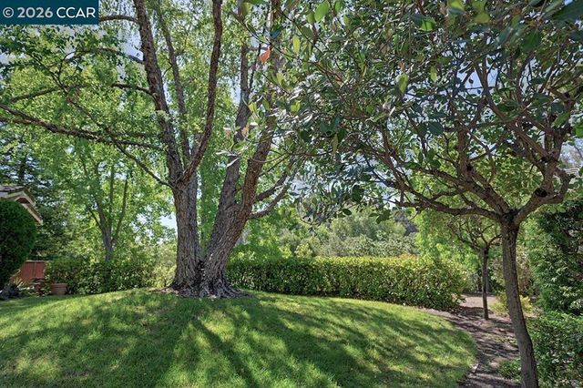 1706 Comstock Dr, Walnut Creek, CA 94595