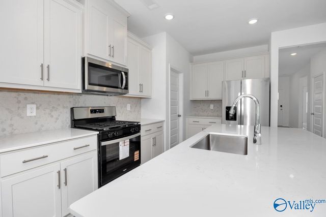 29557 Gallows Cove, Harvest, AL 35749