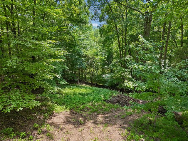 1682 Ridgeview Run, Lynchburg, TN 37352