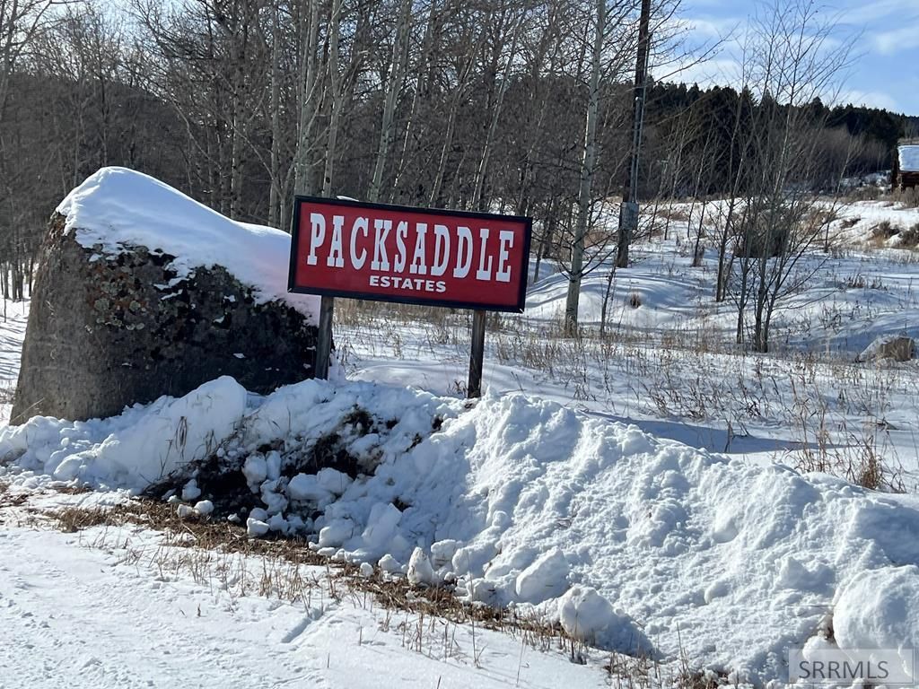 Image 3 of property listing at 3080 Grandview Drive, Tetonia, ID 83452