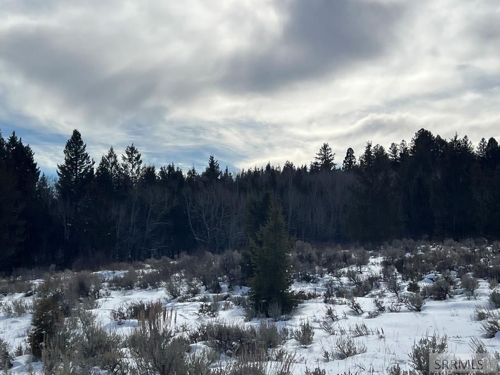 Image 5 of property listing at 3080 Grandview Drive, Tetonia, ID 83452