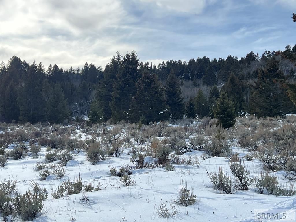 Image 6 of property listing at 3080 Grandview Drive, Tetonia, ID 83452