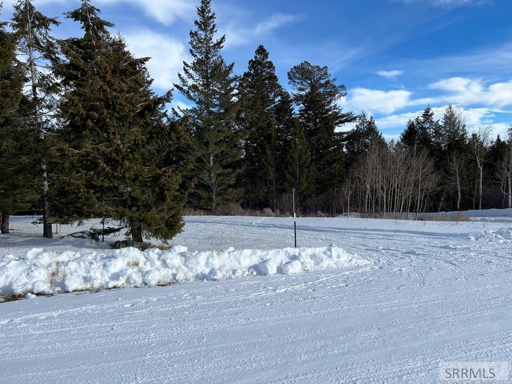 Image 8 of property listing at 3080 Grandview Drive, Tetonia, ID 83452