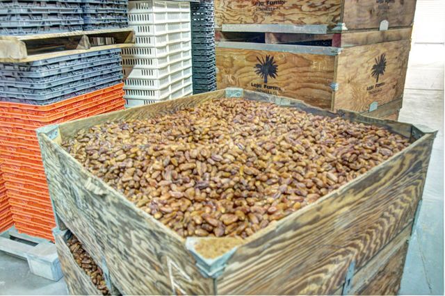 52500 Van Buren Street, Coachella, CA 92236