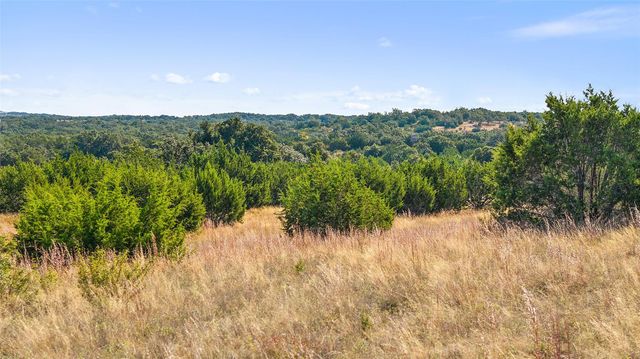 386 Appaloosa RUN, Johnson City, TX 78663