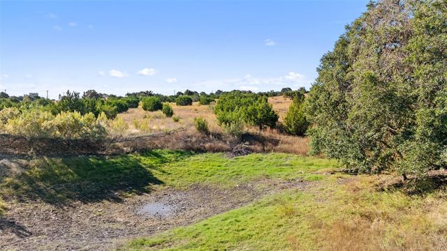 386 Appaloosa RUN, Johnson City, TX 78663