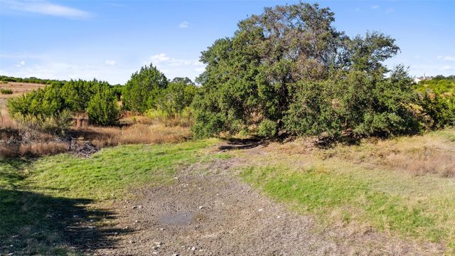 386 Appaloosa RUN, Johnson City, TX 78663