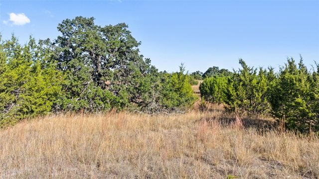 386 Appaloosa RUN, Johnson City, TX 78663