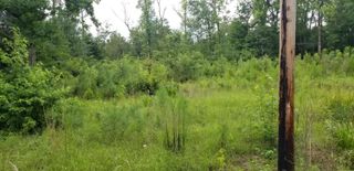 4942 Jacksonboro Road, Round O, SC 29474