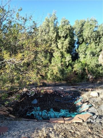 3391 Fritz Lane, Pahrump, NV 89048