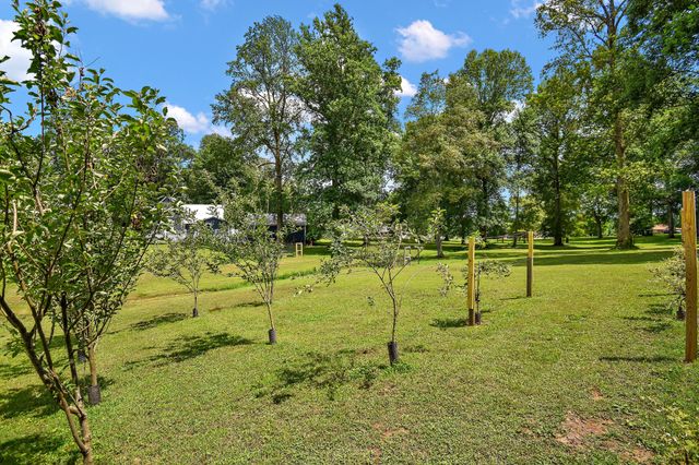 124 Amy Rd, Hillsboro, TN 37342
