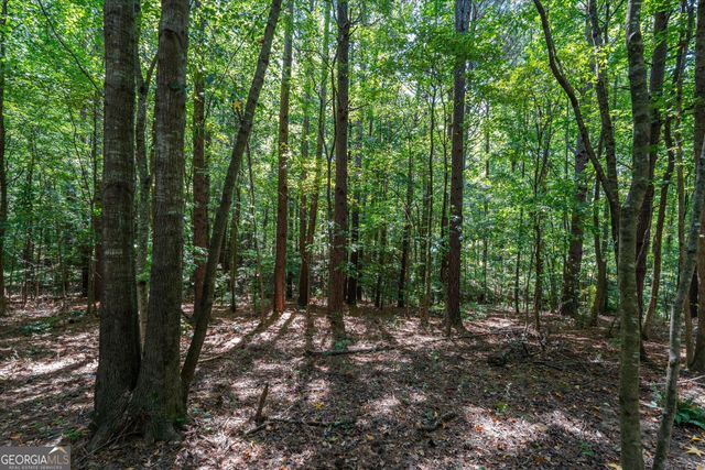 212 Overlook Way, Carrollton, GA 30117