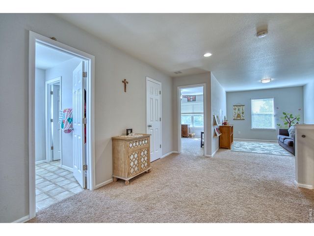 1667 Kelmsley Ct, Windsor, CO 80550