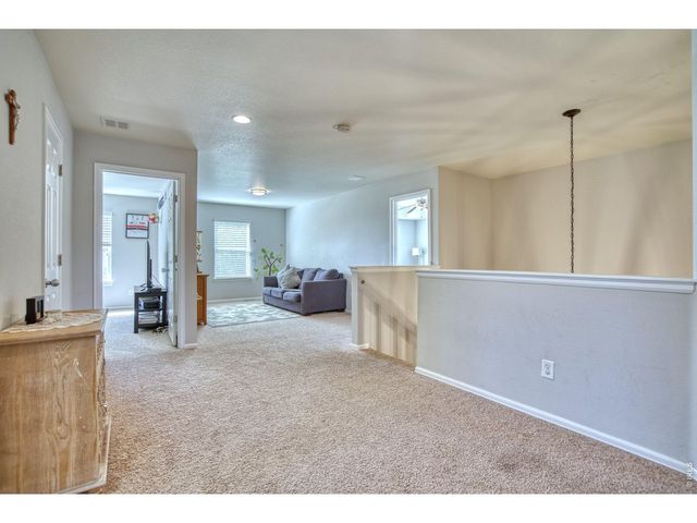 1667 Kelmsley Ct, Windsor, CO 80550