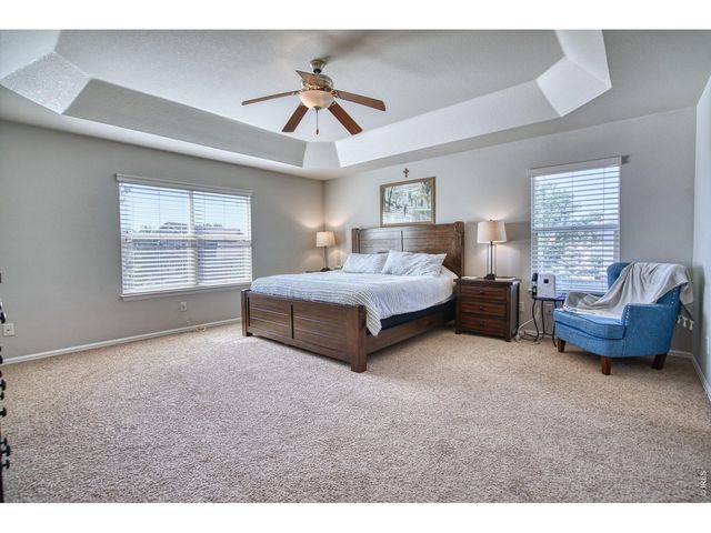 1667 Kelmsley Ct, Windsor, CO 80550