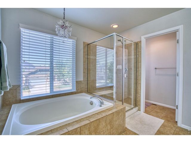 1667 Kelmsley Ct, Windsor, CO 80550
