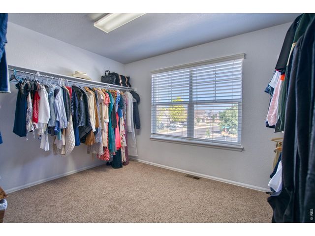 1667 Kelmsley Ct, Windsor, CO 80550