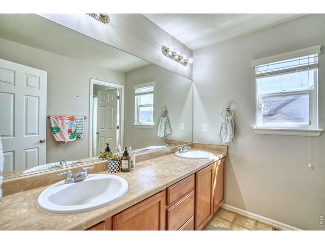 1667 Kelmsley Ct, Windsor, CO 80550
